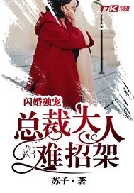 闪婚独宠：总裁大人难招架图片