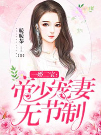 一婚二宝：帝少宠妻无节制图片