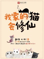 我家的猫会修仙图片